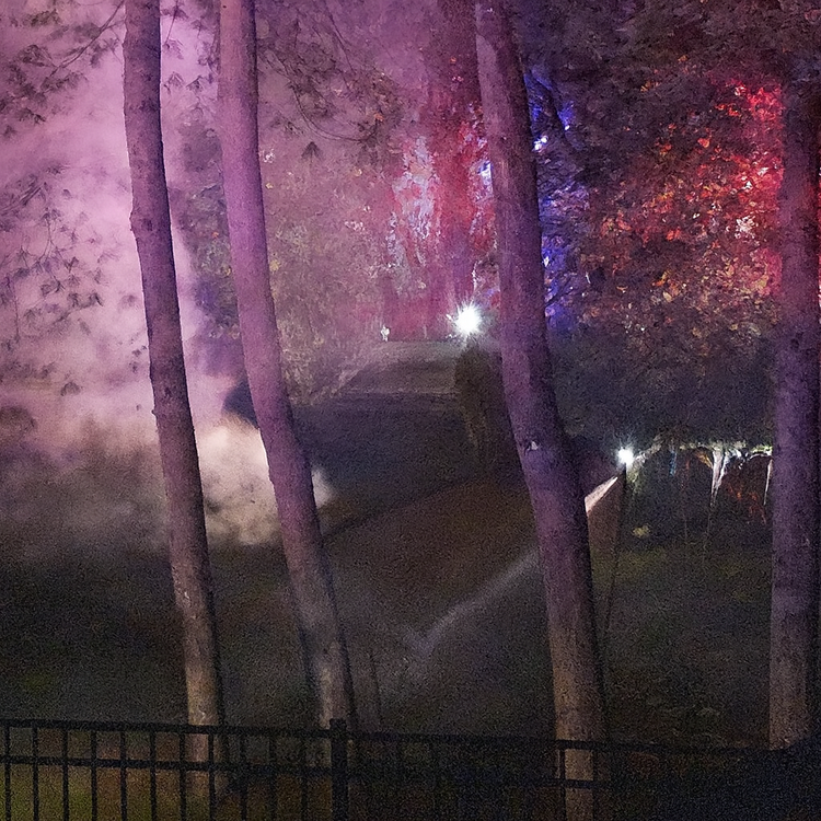 OVER NIGHT SCARE: BRUSH FIRE ERUPTS FEET FROM HOMES IN FRANKLIN LAKES.