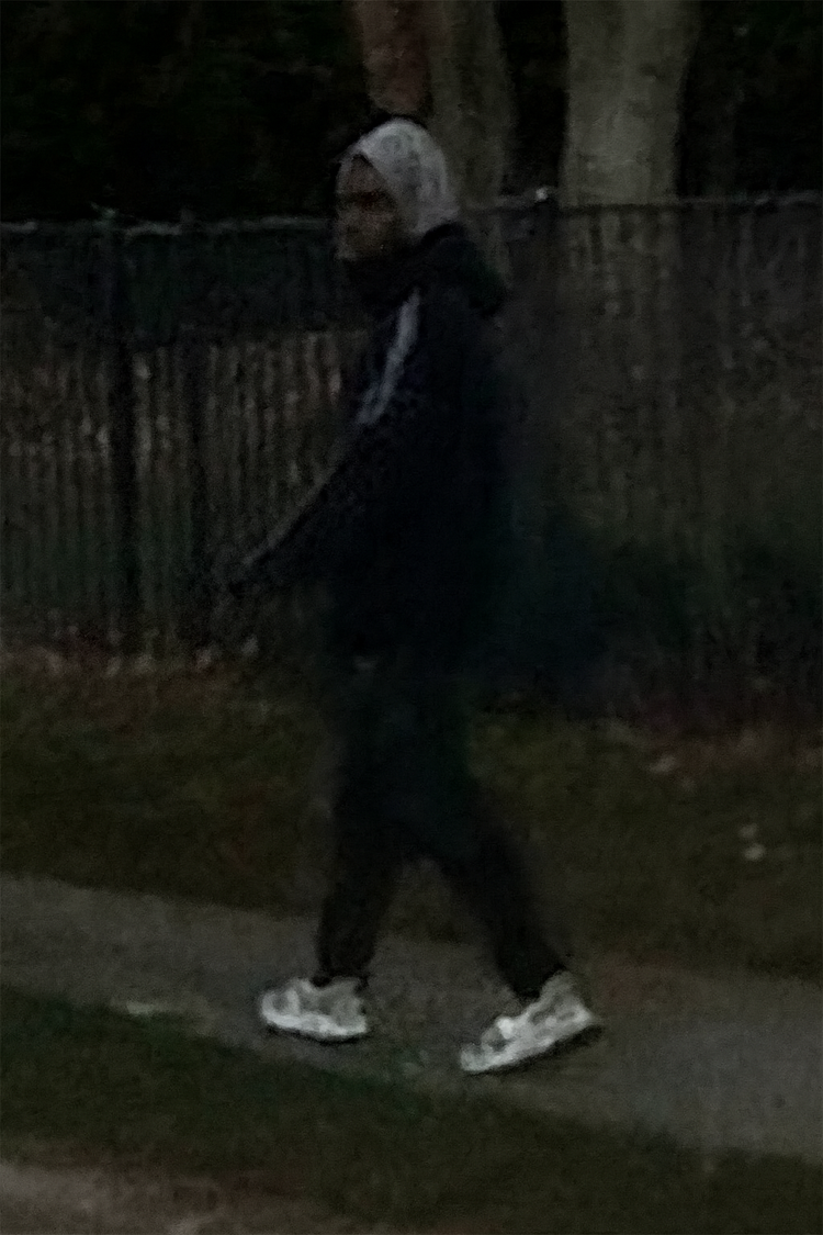 Man Wanted for Assaulting Woman Walking 2-Year-Old in Howell.