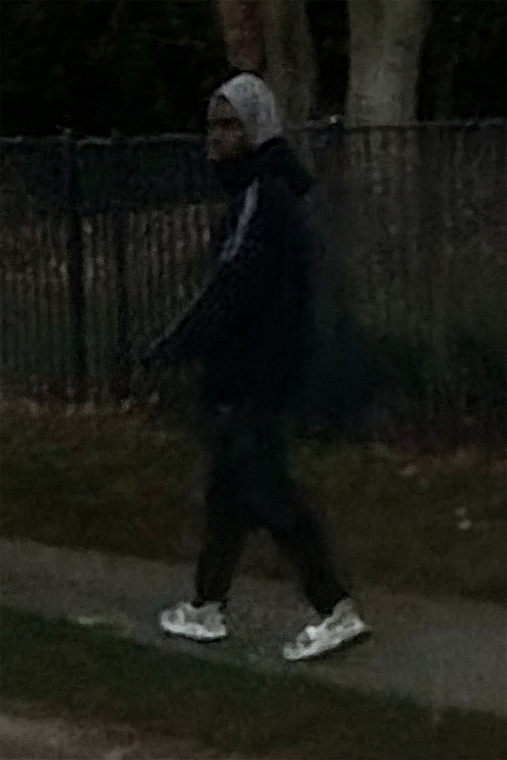 Man Wanted for Assaulting Woman Walking 2-Year-Old in Howell.